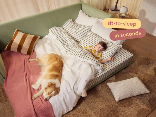 Best Pet-Friendly Sofa Beds: Washable Picks for Dog Owners