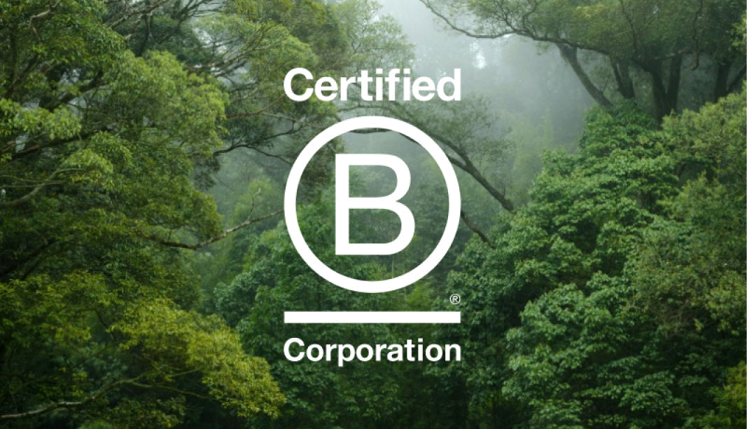 What Is B Corp Certification & What It Actually Proves