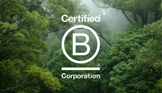 What Is B Corp Certification & What It Actually Proves