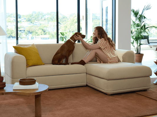 person with their dog on a cream sofa bed in bright living room