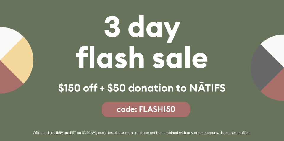 A muted green background with colorful circle graphics. Text announces a "3 day flash sale," offering $150 off and details about a promo code and donation.