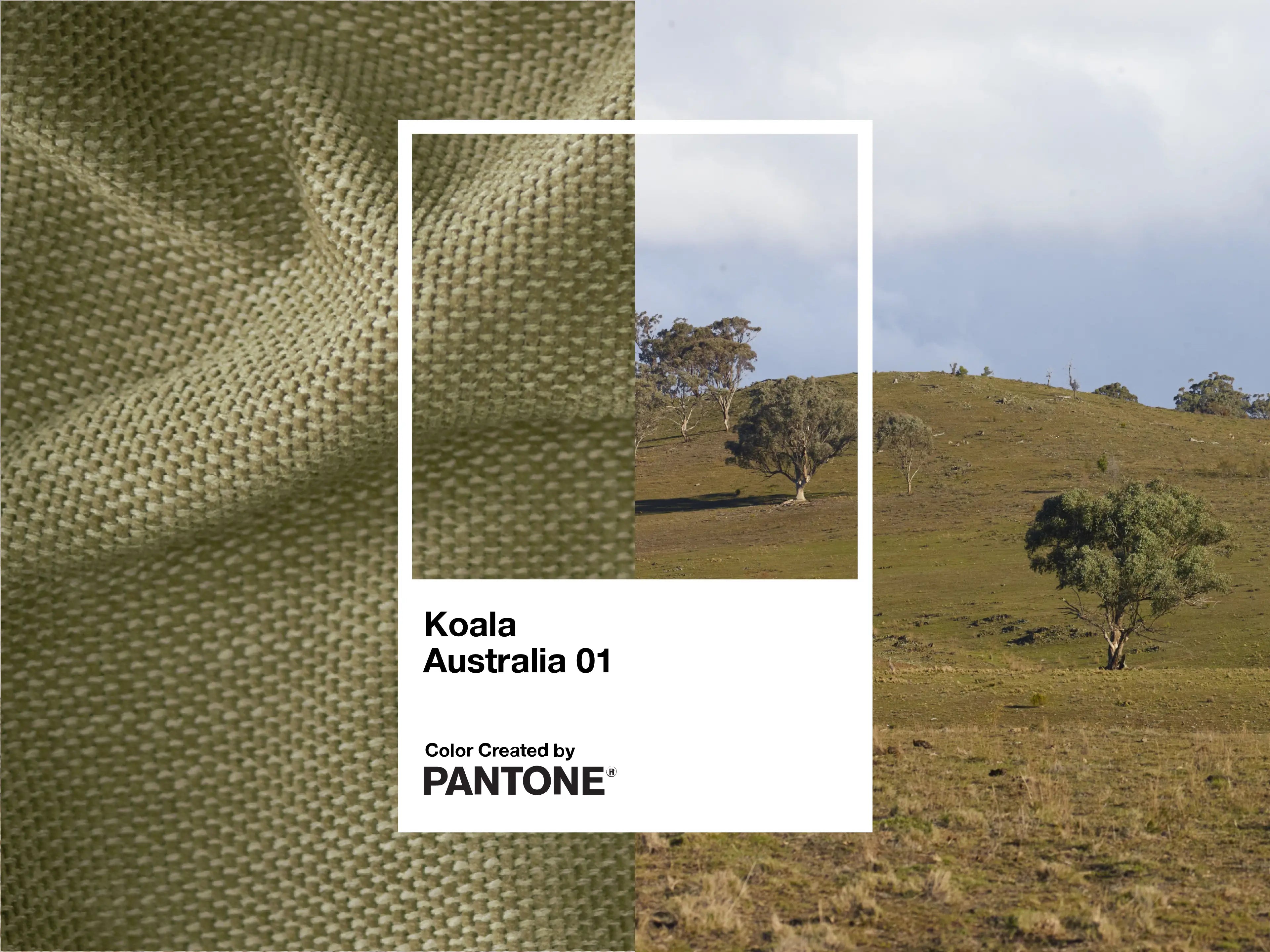 Torquay Modular Armchair - Regular / Australia 01 (Pantone)