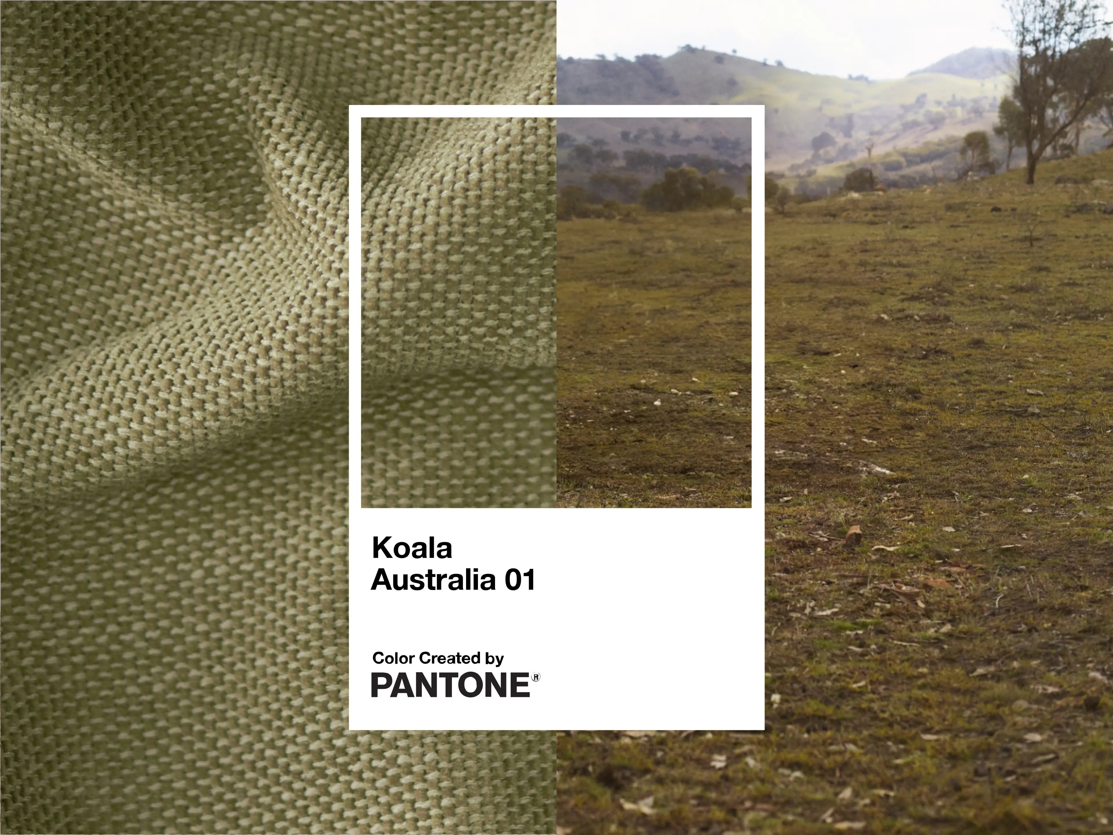 Wanda Sofa Bed - 99" Queen / Australia 01 (Pantone)